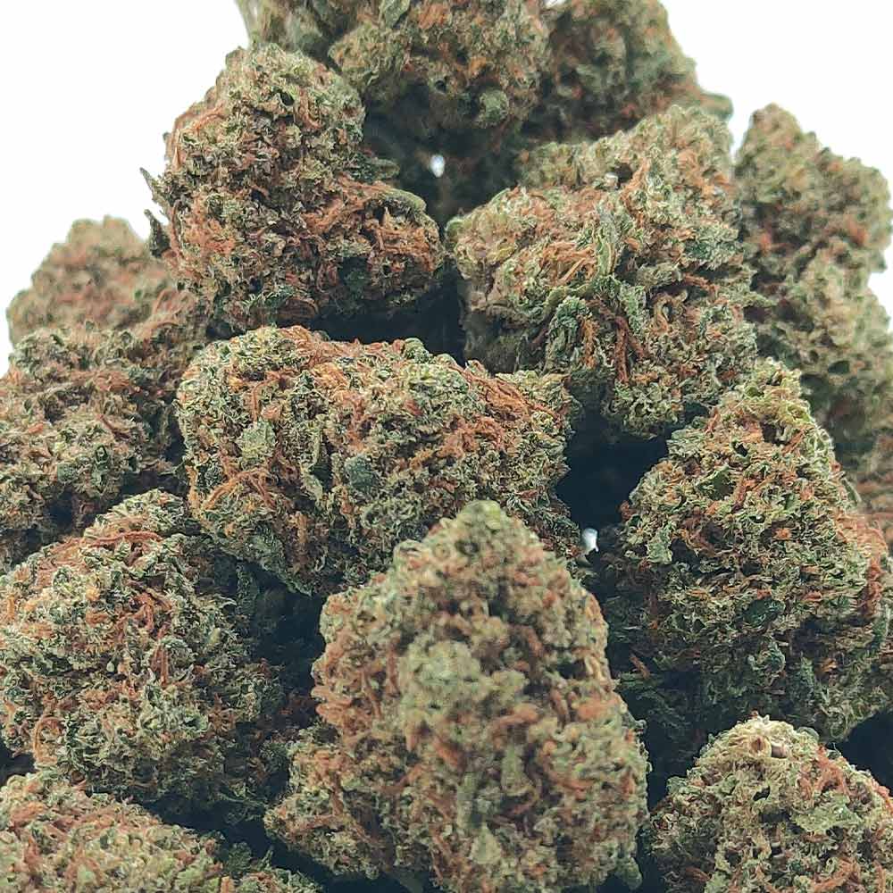 gariguette fleur cbd